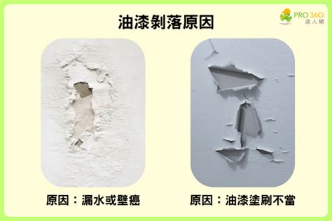 牆壁油漆剝落|如何修補牆身坑洞與剝落？完整教學，省錢又高效！